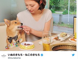 Asyik! Restoran BBQ Ini Perbolehkan Pengunjung Makan Bareng Anjing Peliharaan