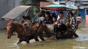 Berkah Para Penarik Delman di Kala Banjir