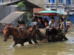 Berkah Para Penarik Delman di Kala Banjir
