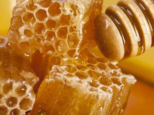 Madu, Makanan Tertua di Dunia yang Sarat Nutrisi