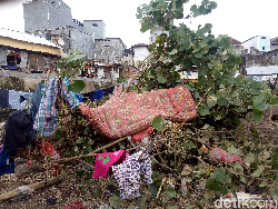 Banjir Bandang Terjang Dompu NTB, Belasan Motor-Hewan Ternak Hanyut