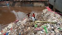 Aksi Petugas Bersihkan Sampah di Pintu Air Manggarai