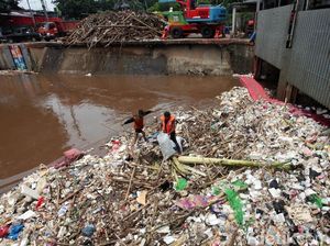Aksi Petugas Bersihkan Sampah di Pintu Air Manggarai Aksi Petugas Bersihkan Sampah di Pintu Air Manggarai