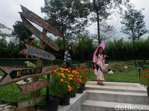 Wonoland, Taman Bunga Cantik dari Wonosobo Wonoland, Taman Bunga Cantik dari Wonosobo