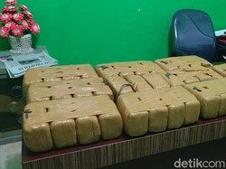 Sepasang Kekasih Ketangkap Bawa Ganja 40 Kg di Riau