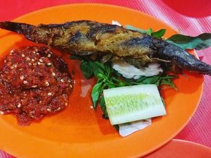 Netizen Ini Sebut Ekor Pecel Lele Goreng Bagian Ternikmat, Kamu Setuju? Netizen Ini Sebut Ekor Pecel Lele Goreng Bagian Ternikmat, Kamu Setuju?