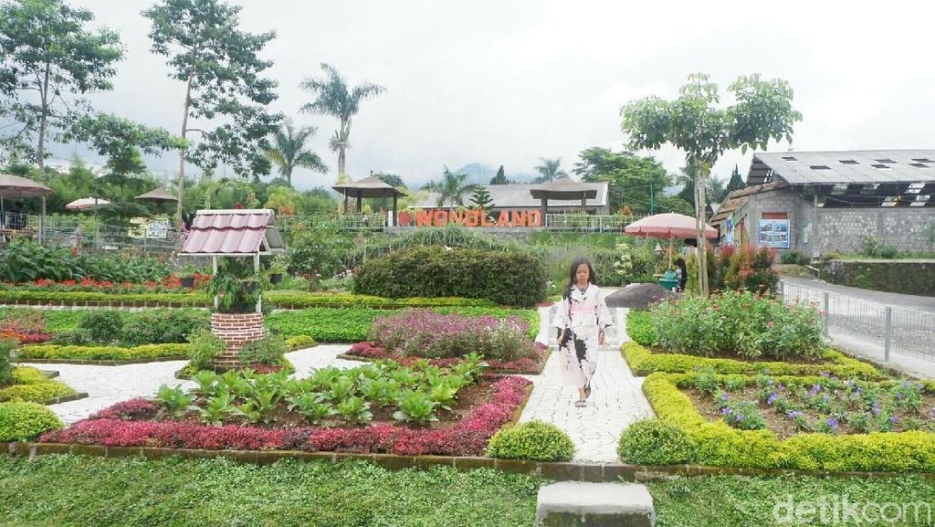Foto: Seperti Ini Taman Bunga Instagramble di Wonosobo