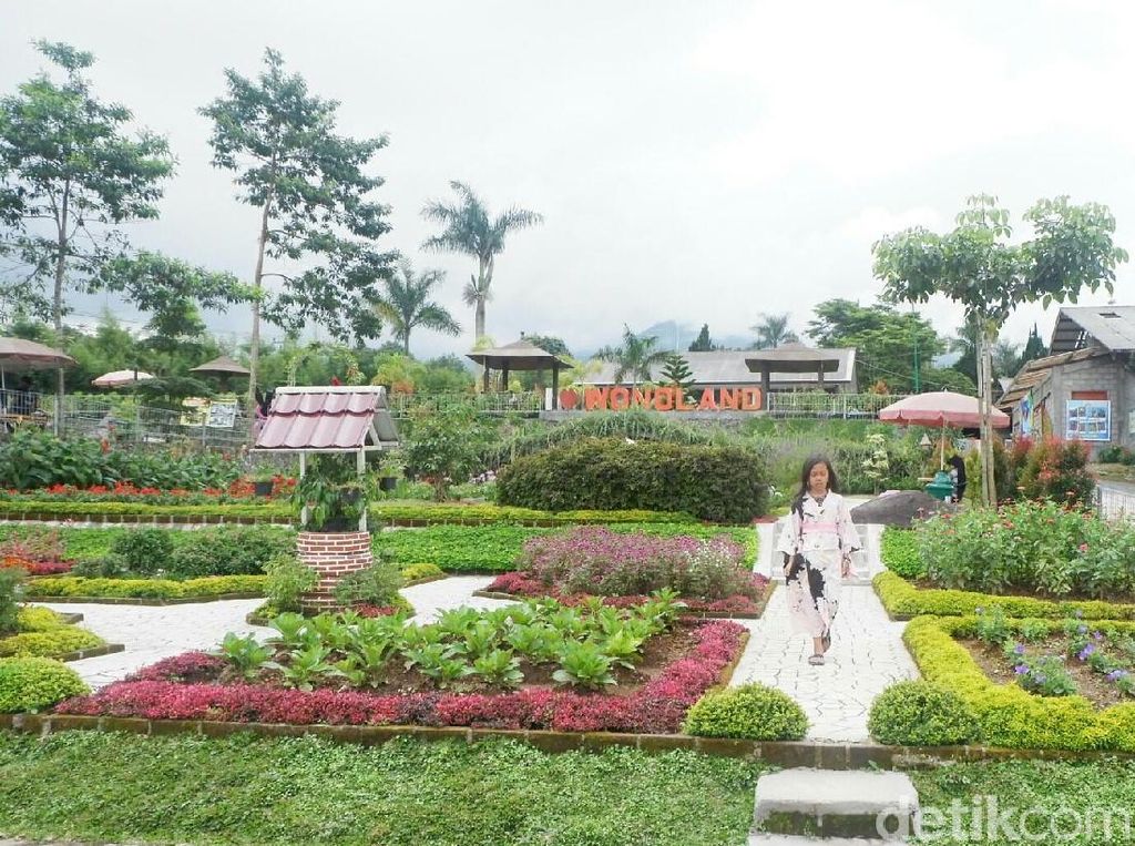 Foto: Seperti Ini Taman Bunga Instagramble di Wonosobo