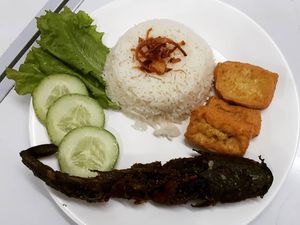 Keluhan Warga Palembang: PBB Naik, Makan Pecel Lele Malah Dipajak