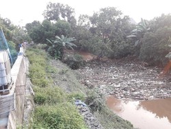 Sungai Cikeas Bekasi Dipenuhi Sampah Batang Bambu