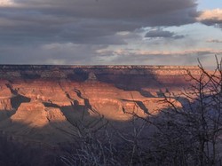 Pria AS Tewas Terjatuh di Grand Canyon, Insiden Ketiga dalam 8 Hari