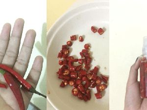 Wanita Ini Bagikan Cara Praktis Buat Semprotan Cabai untuk Alat Bela Diri