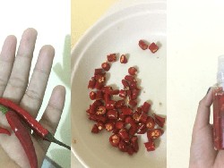 Wanita Ini Bagikan Cara Praktis Buat Semprotan Cabai untuk Alat Bela Diri