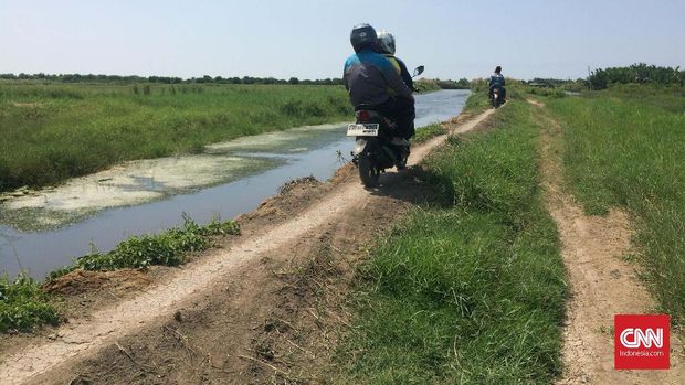 Bergulat Menuju Ekowisata Mangrove di Utara Bekasi