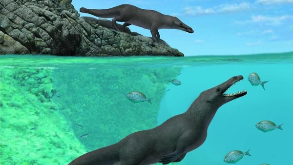 Nenek Moyang Paus Ternyata Punya Empat Kaki