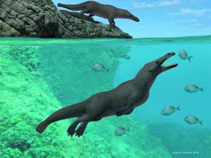 Nenek Moyang Paus Ternyata Punya Empat Kaki