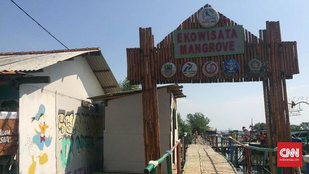 Bergulat Menuju Ekowisata Mangrove di Utara Bekasi
