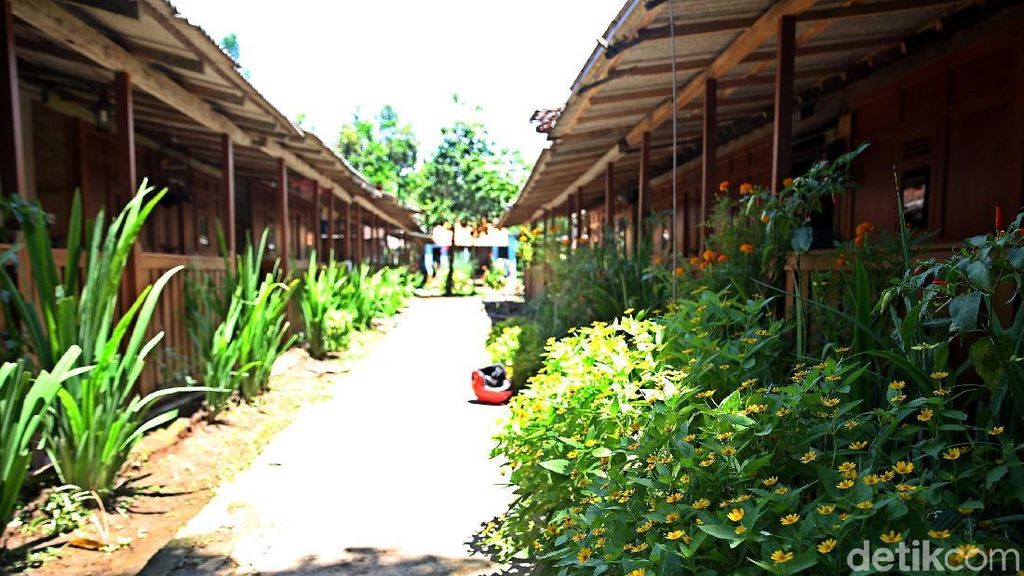 Foto: Cantiknya Desa Wisata Osing Kemiren di Banyuwangi Foto: Cantiknya Desa Wisata Osing Kemiren di Banyuwangi