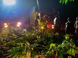 Longsor dan Pohon Tumbang di Perbatasan Bandung-Garut, Lalin Terganggu