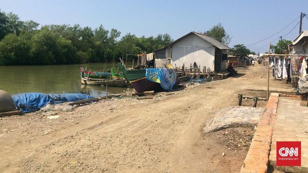 Bergulat Menuju Ekowisata Mangrove di Utara Bekasi