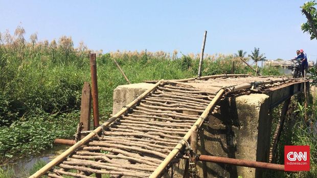 Bergulat Menuju Ekowisata Mangrove di Utara Bekasi