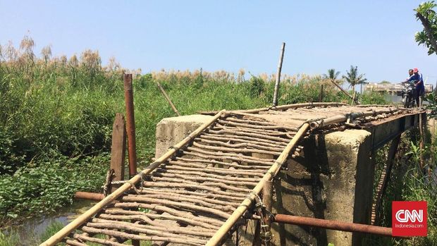  Bergulat Menuju Ekowisata Mangrove di Utara Bekasi