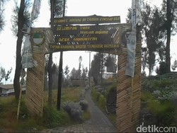 Pesona Desa Wisata Edelweiss Wonokitri Tempat Budidaya Bunga Abadi
