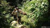 Potret Wisata Hutan Sambil Berburu Buah Segar di Trenggalek