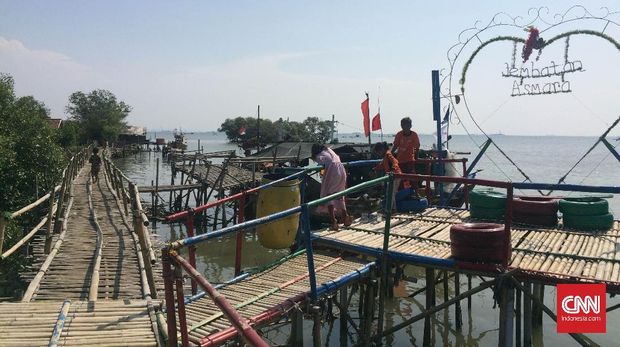 Bergulat Menuju Ekowisata Mangrove di Utara Bekasi