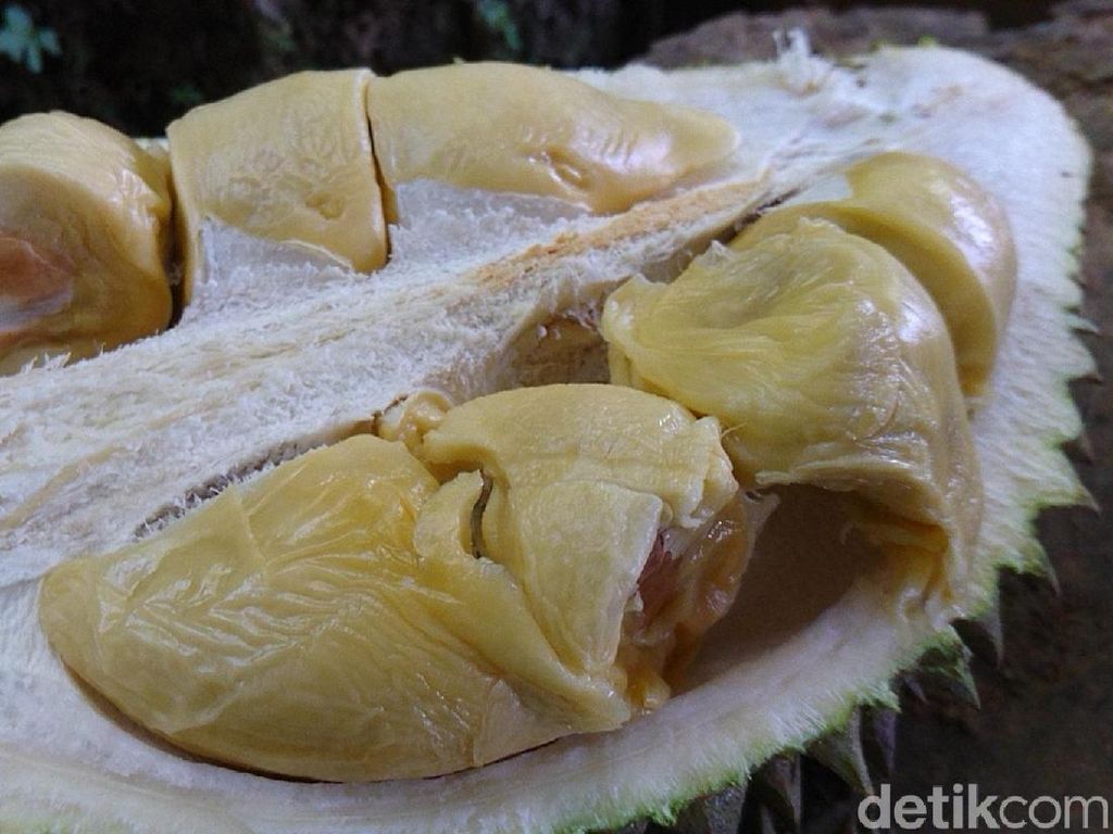 Dikira Mabuk Alkohol Usai Makan Durian, Pria Ini Diinterogasi Polisi Dikira Mabuk Alkohol Usai Makan Durian, Pria Ini Diinterogasi Polisi