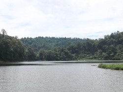 Situ Gunung, Danau & Jembatan Gantung yang Eksis di Medsos