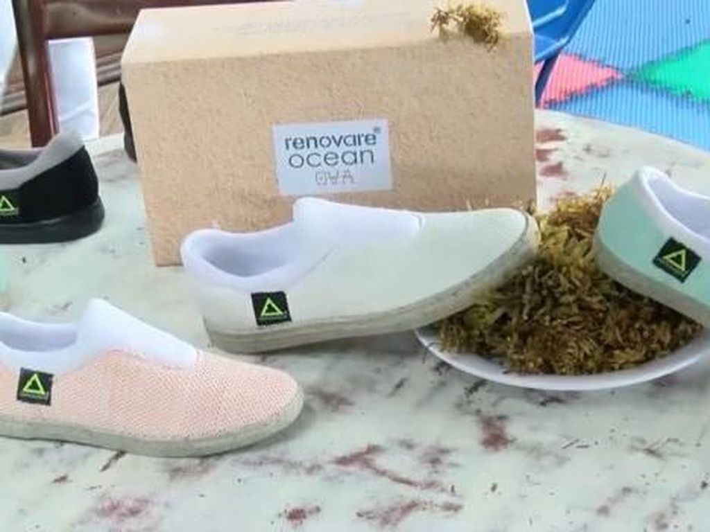 Sepatu Olahraga Ini Terbuat dari Plastik dan Rumput Laut