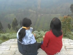 Menikmati Keindahan Taman Edelweis di Kawasan Bromo