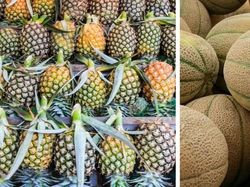 Banting Stir Jadi Petani Buah, Sarjana Keuangan Ini Jadi Miliader