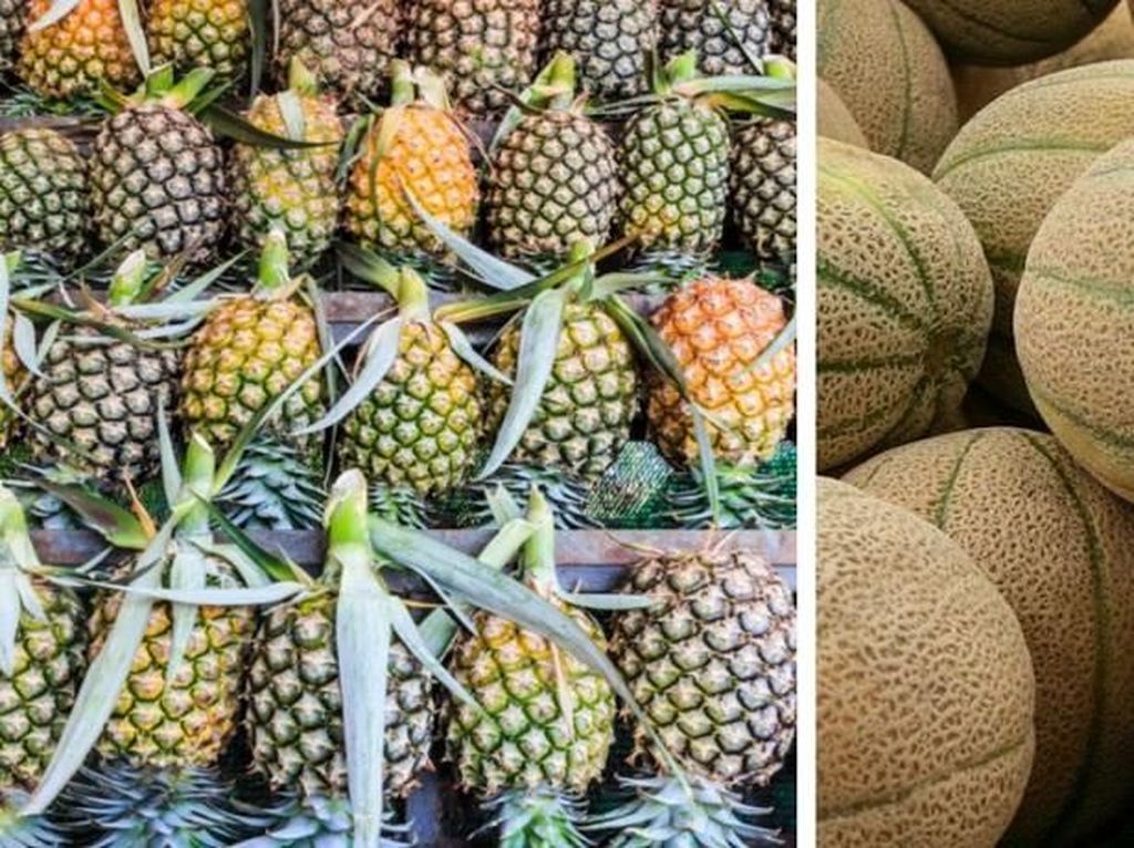 Banting Stir Jadi Petani Buah, Sarjana Keuangan Ini Jadi Miliader Banting Stir Jadi Petani Buah, Sarjana Keuangan Ini Jadi Miliader