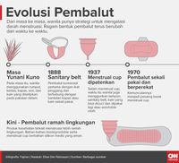 Evolusi pembalut.