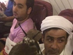 Bawa Elang di Kabin Pesawat, Amankah Buat Penumpang?