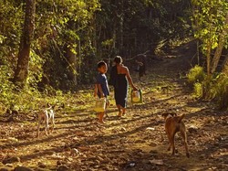 Foto: Melihat Kehidupan Sederhana Suku Kajang Dalam