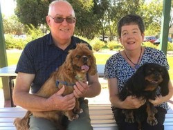 Anjing Telan Sekantung Heroin yang Dikubur di Taman dan Selamat