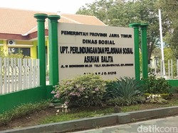 Viral Puluhan Bayi Butuh Orang Tua Asuh, Ini Penjelasan Dinsos Jatim