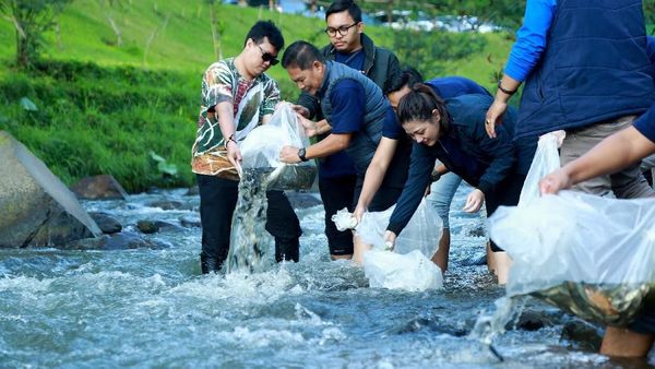 Pelepasan Bibit Ikan di Aliran Sungai Ciloto