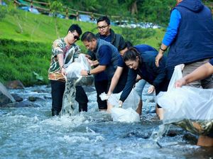 Pelepasan Bibit Ikan di Aliran Sungai Ciloto