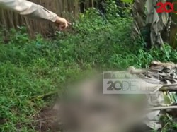 Mayat Terkubur Daun Pisang Ditemukan di Pinggir Tol Jagorawi