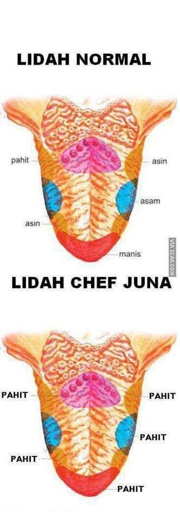 Kocak 10 Meme Soal Chef Juna Ini Dijamin Bikin Senyum Foto 2