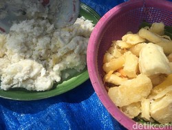 Warga Polewali Gelar Makan Bersama Ubi Kayu Rasa Rindu dan Rasa Mana Lagi