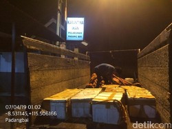 Penyelundupan 8 Boks Daging Penyu dari NTT ke Bali Digagalkan