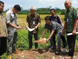 Setelah Tulungagung, Pembalakan Sonokeling Juga Ditemukan di Trenggalek