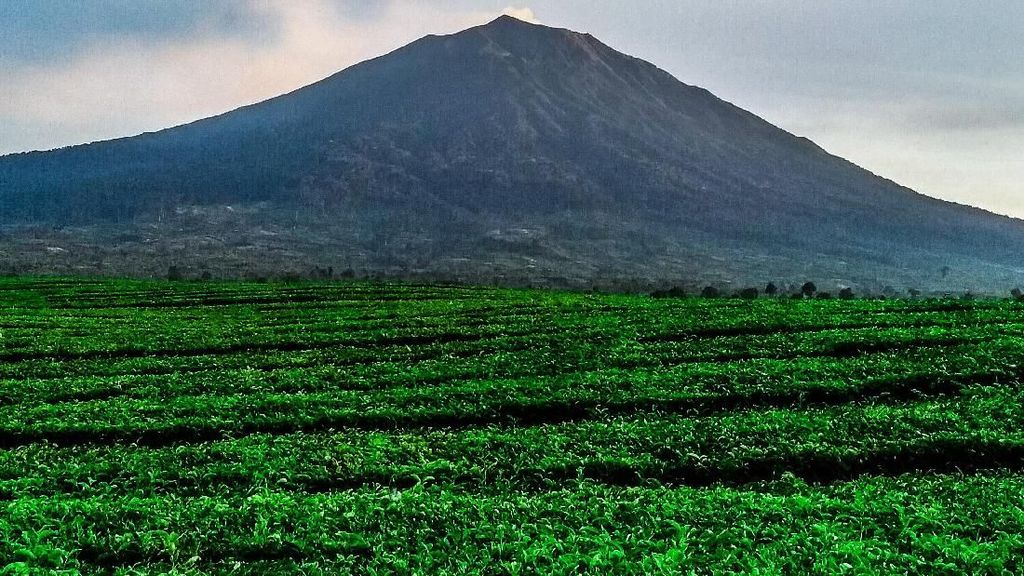 Foto: Gunung Tertinggi di Sumatera yang Pernah Didaki Jokowi