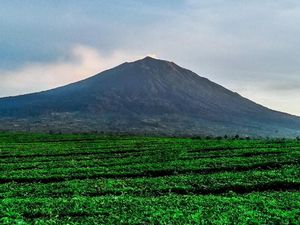 Foto: Gunung Tertinggi di Sumatera yang Pernah Didaki Jokowi