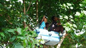 Foto: Bahagia Itu Sederhana Ala Bocah Lombok